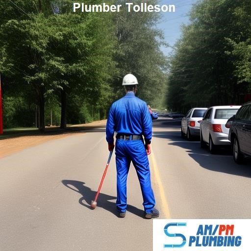 The Benefits of Hiring a Professional Plumber - Village Plumbing Phoenix Tolleson